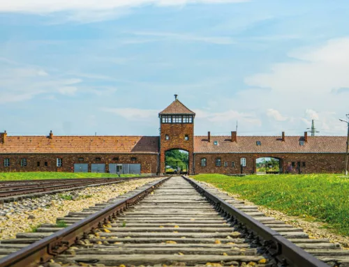 Civita Castellana: tagliati fondi viaggi studenti ad Auschwitz